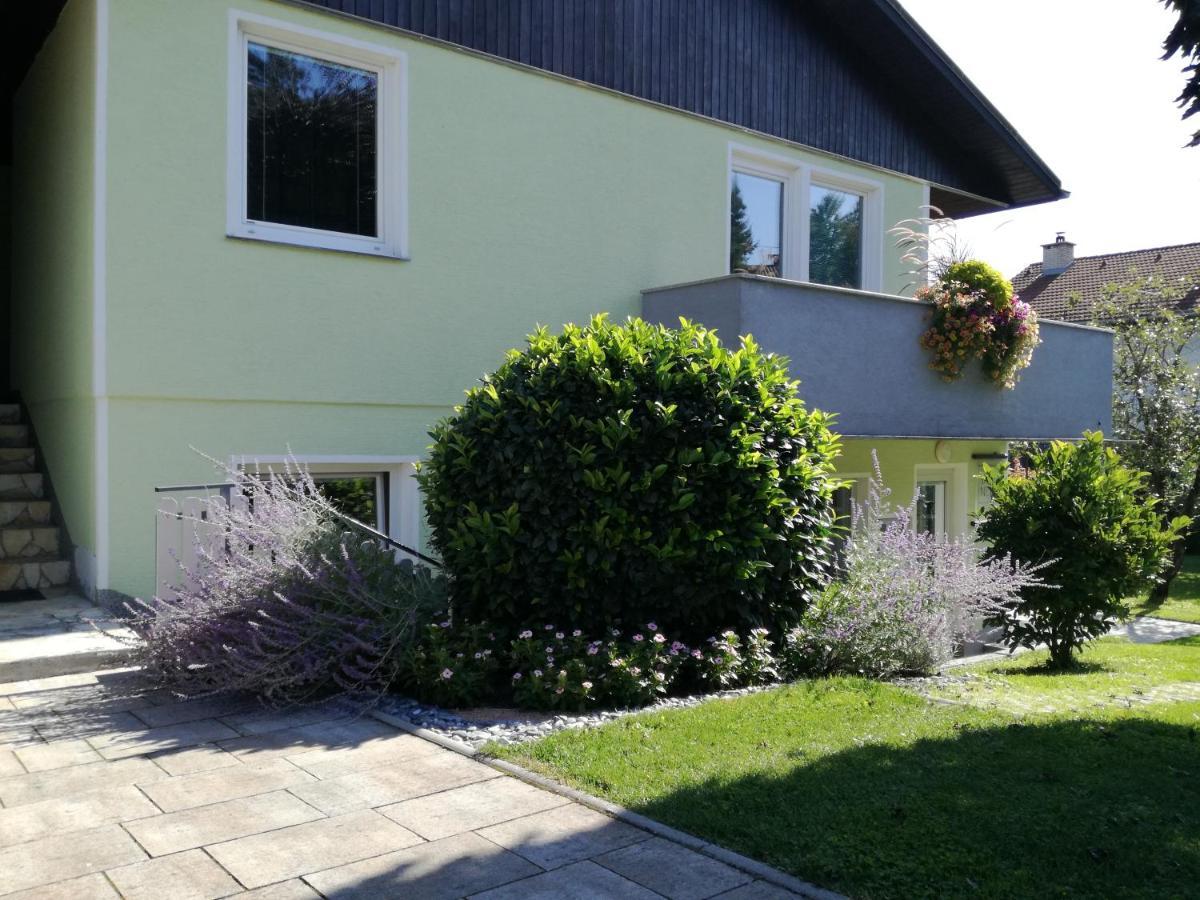 Apartma JERMAN - Cerknica Exteriör bild