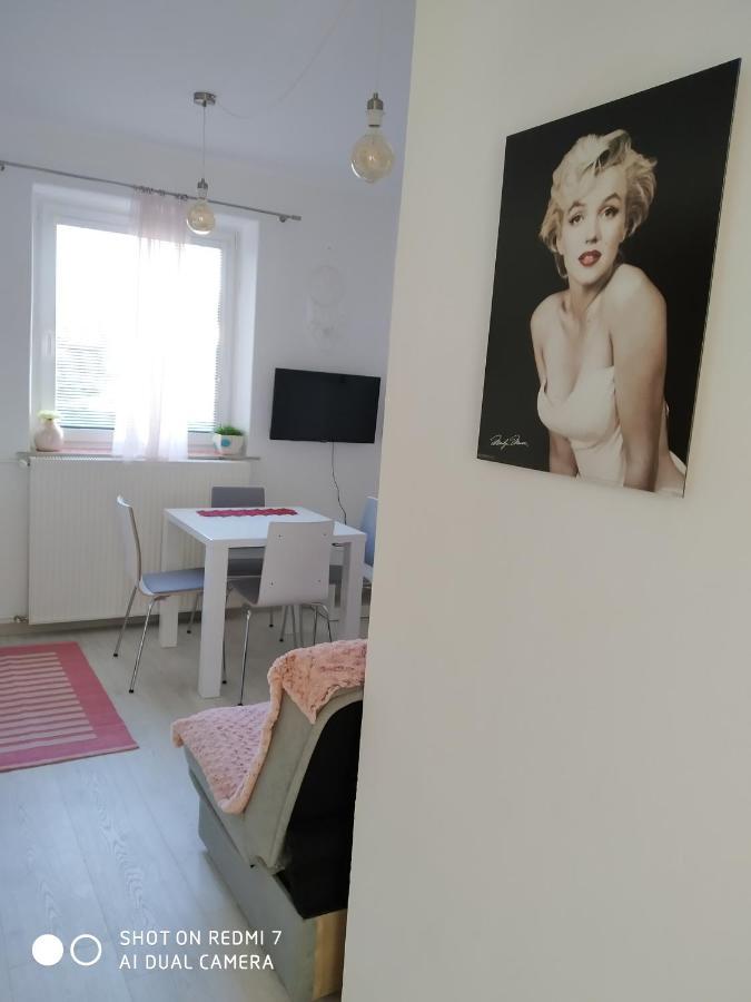 Apartma JERMAN - Cerknica Exteriör bild
