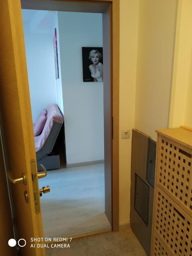 Apartma JERMAN - Cerknica Exteriör bild