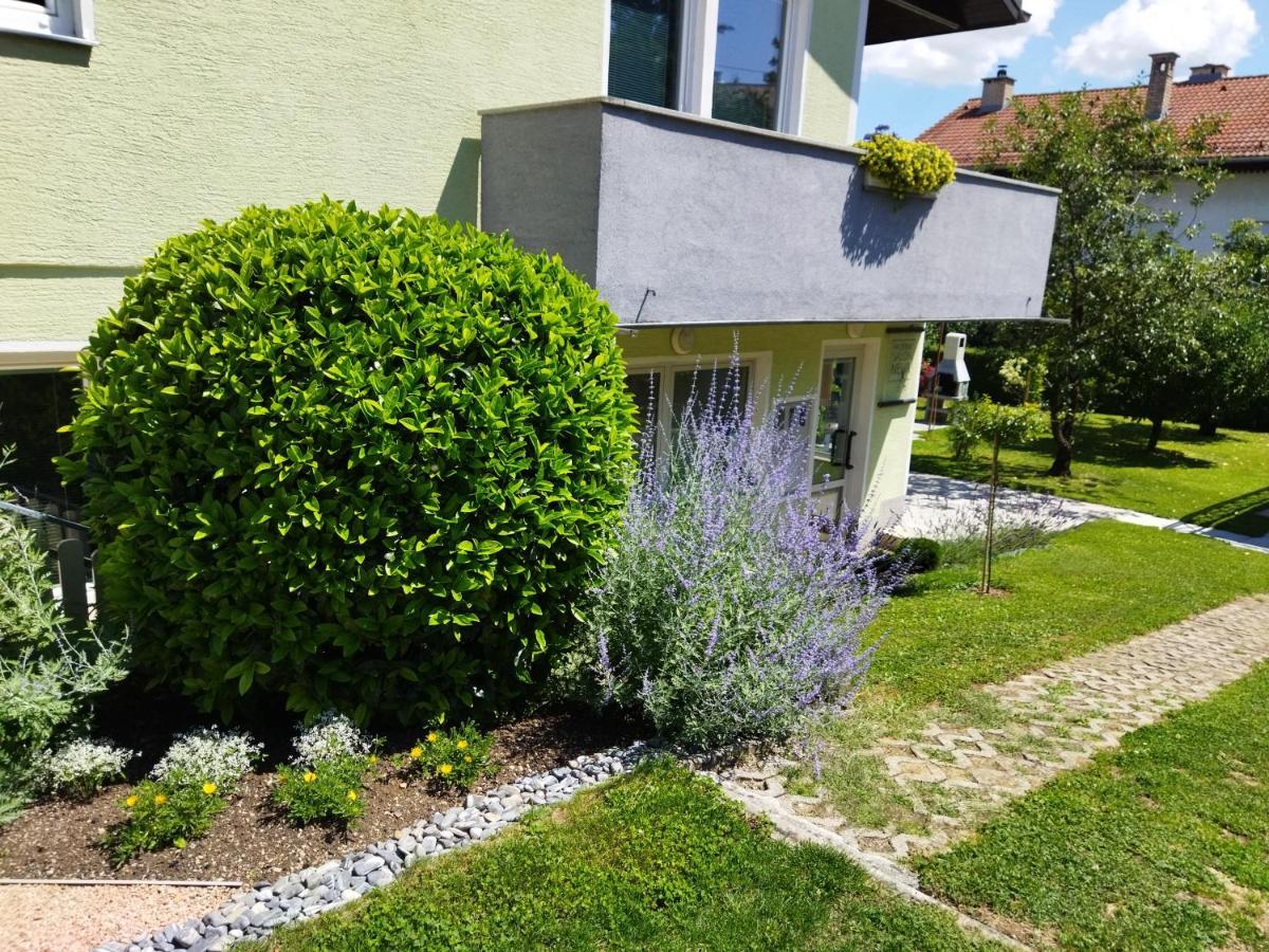 Apartma JERMAN - Cerknica Exteriör bild