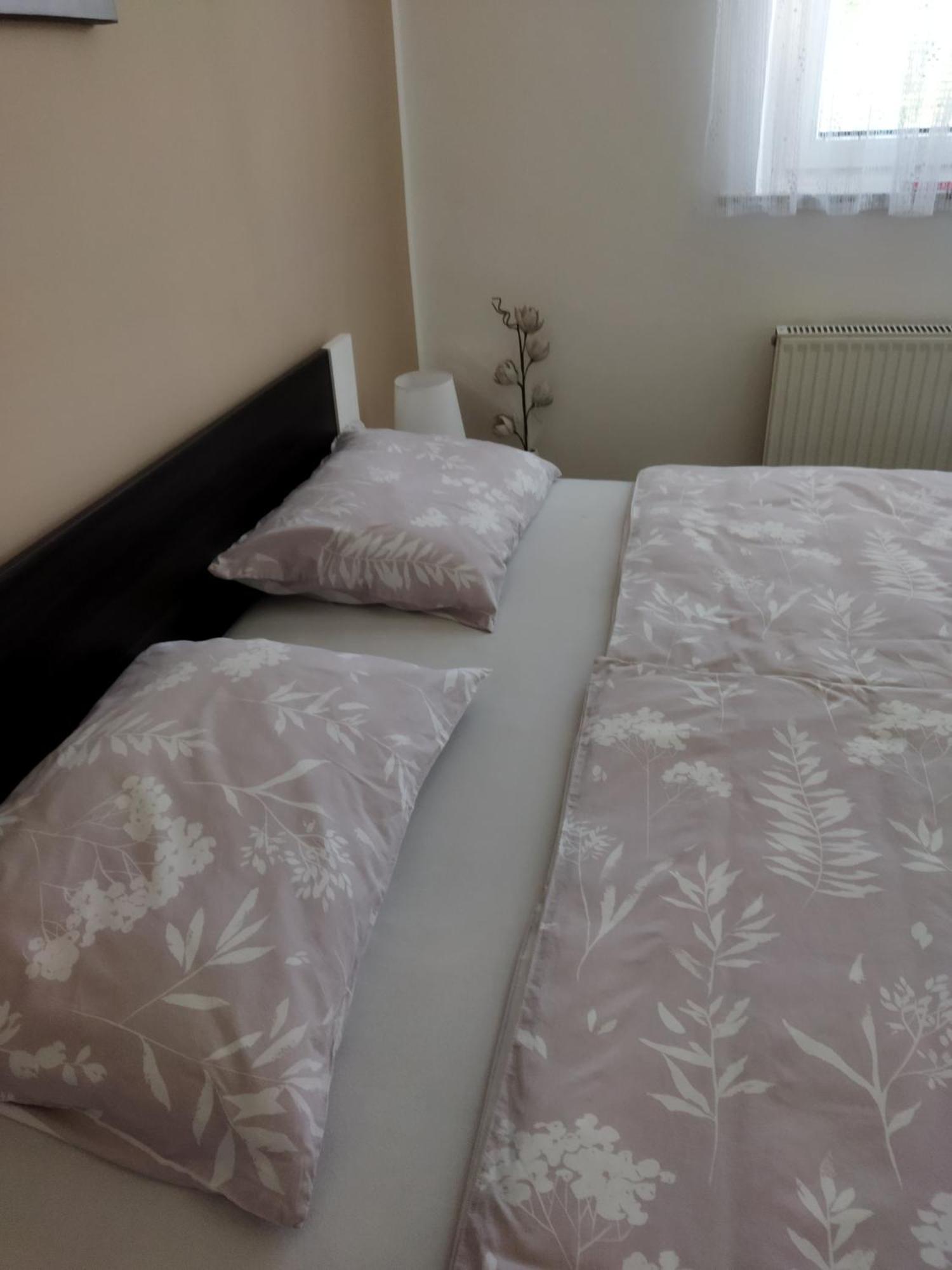 Apartma JERMAN - Cerknica Exteriör bild